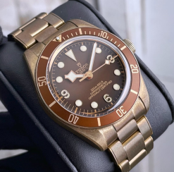 TUDOR  Black Bay Fifty Eight Automatic Chronometer Brown Dial Men’s Watch Item No. M79012M-0001