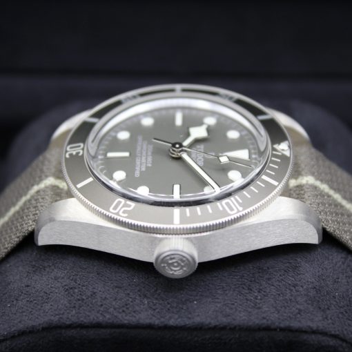 Tudor Black Bay 58 Watch M79010SG-0002