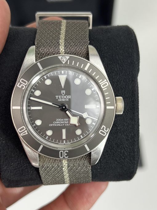 Tudor Black Bay 58 Watch M79010SG-0002