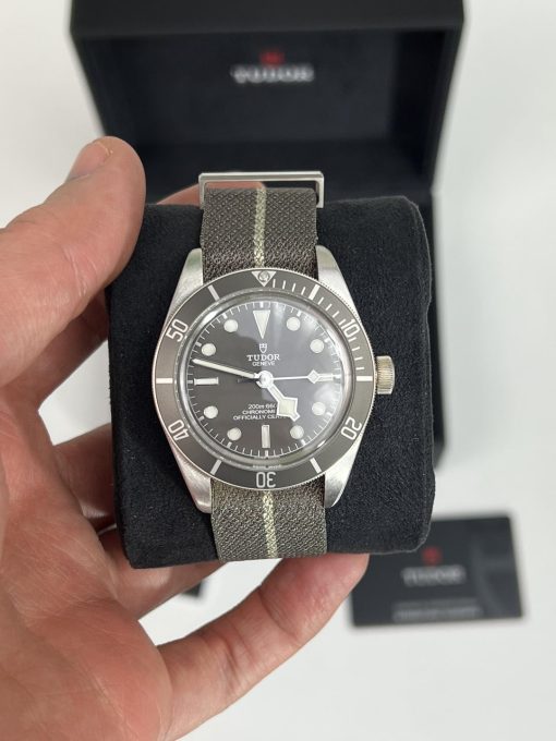 Tudor Black Bay 58 Watch M79010SG-0002