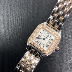 CARTIER Panthere de Silver Dial Steel and 18kt Rose Gold Small Ladies Watch Item No. W3PN0006