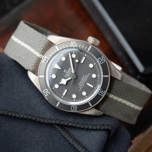 Tudor Black Bay 58925 Silver Case 200M Leather NATO Grey Brown